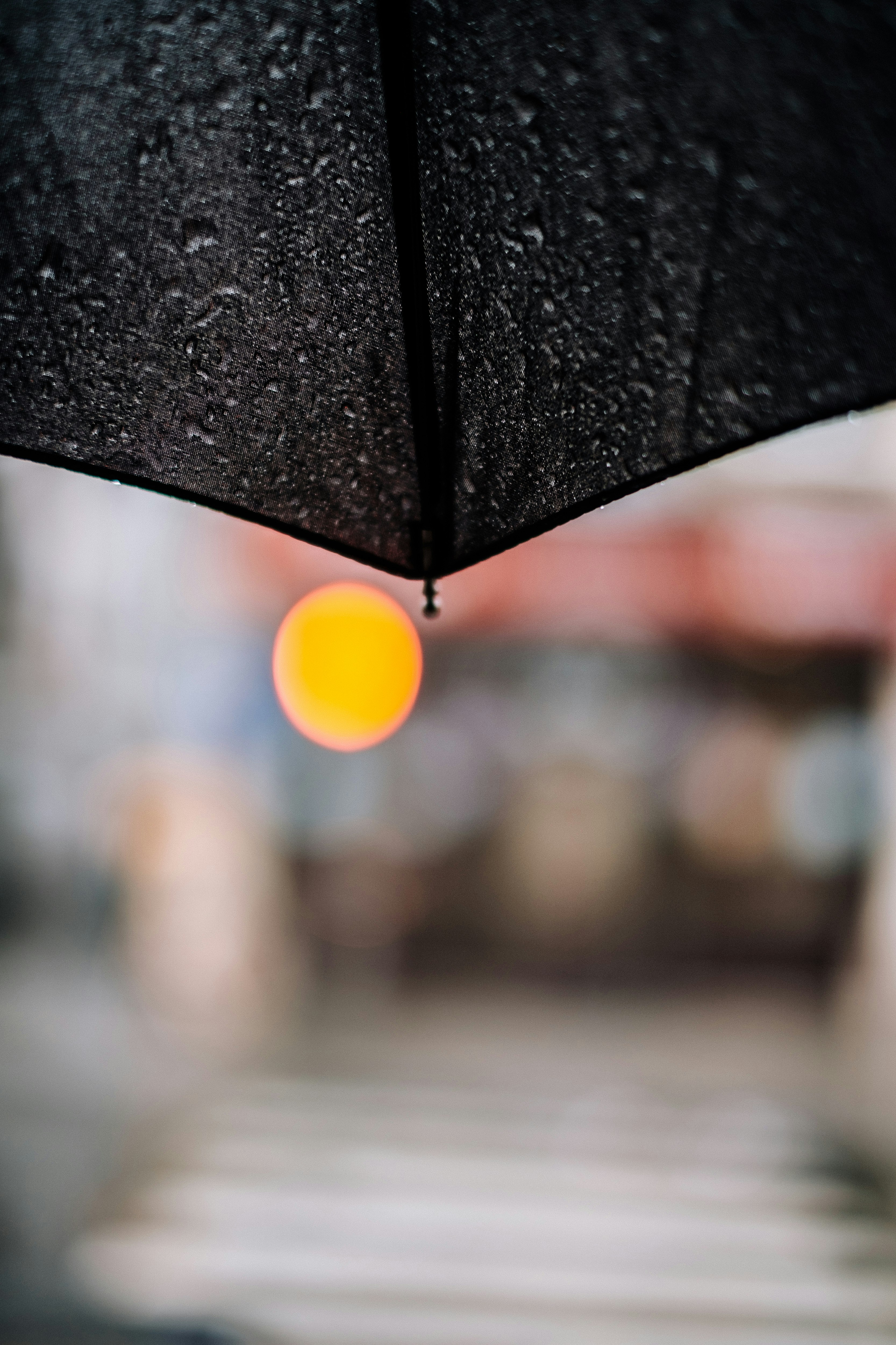 shallow focus photography of black umbrella